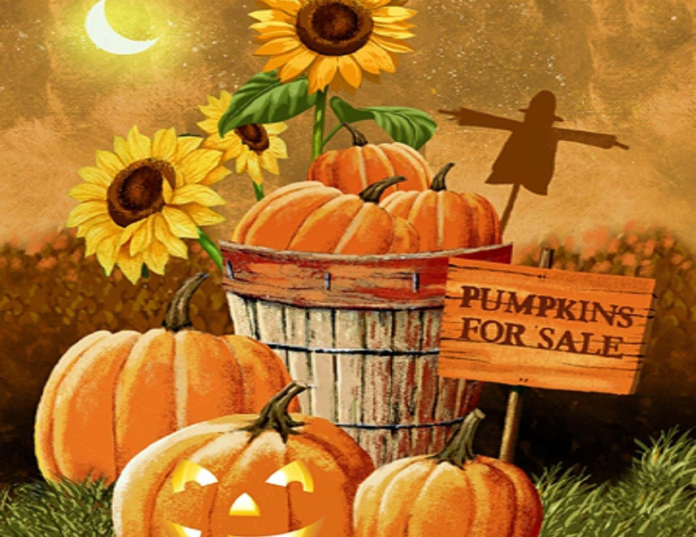 Сладки тикви за продажба Тапет