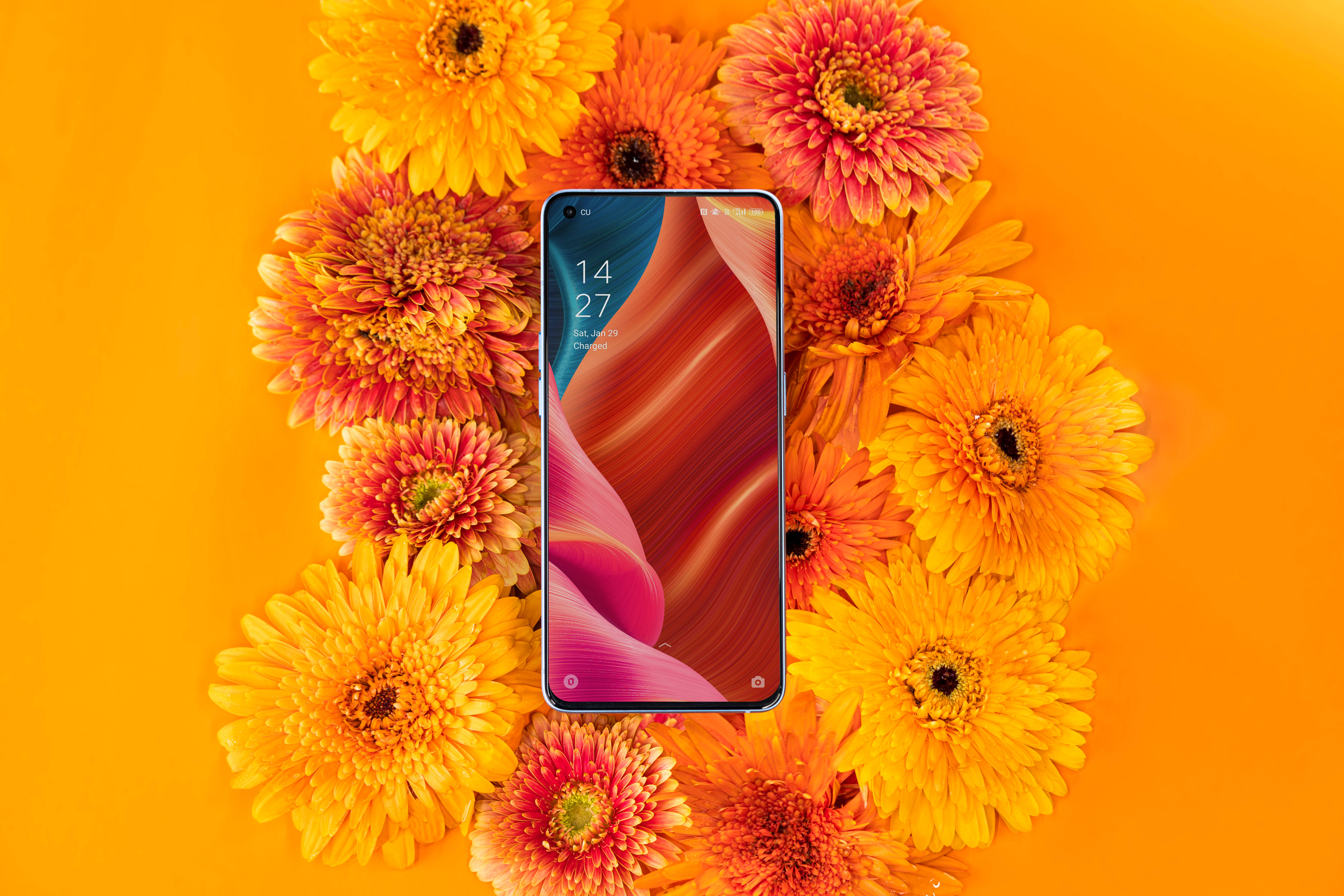 Смартфон Oppo и буйство на флора Тапет