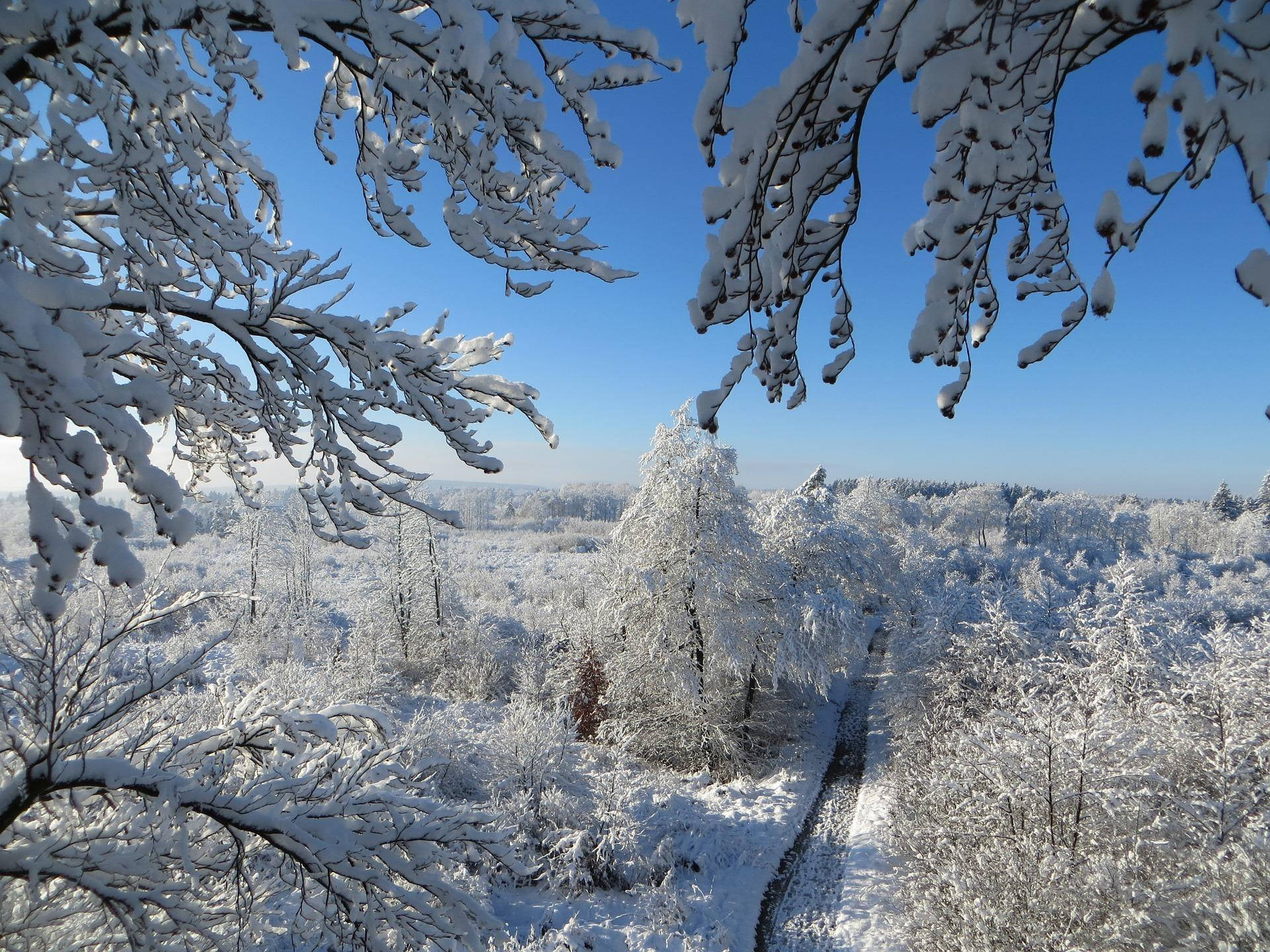 Снежна естетика Тапет