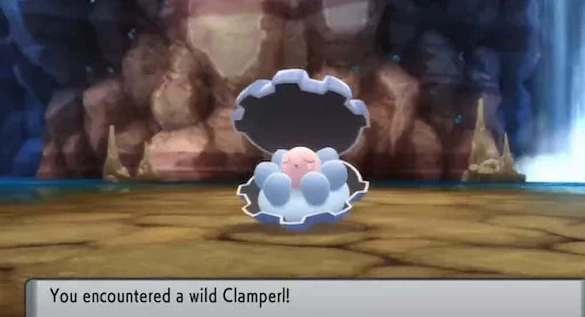 Среща с див Clamperl Тапет