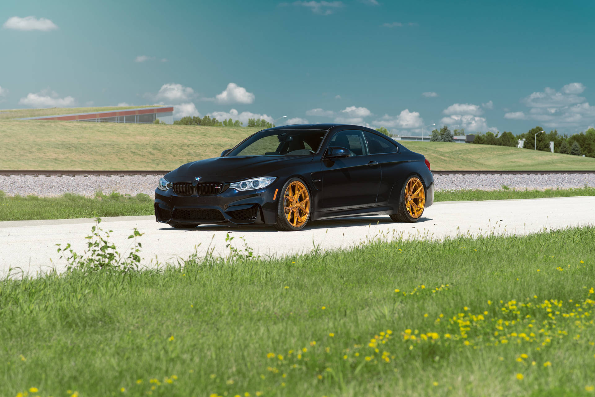 Черно BMW M4 F82 кола на път с трева тапет
