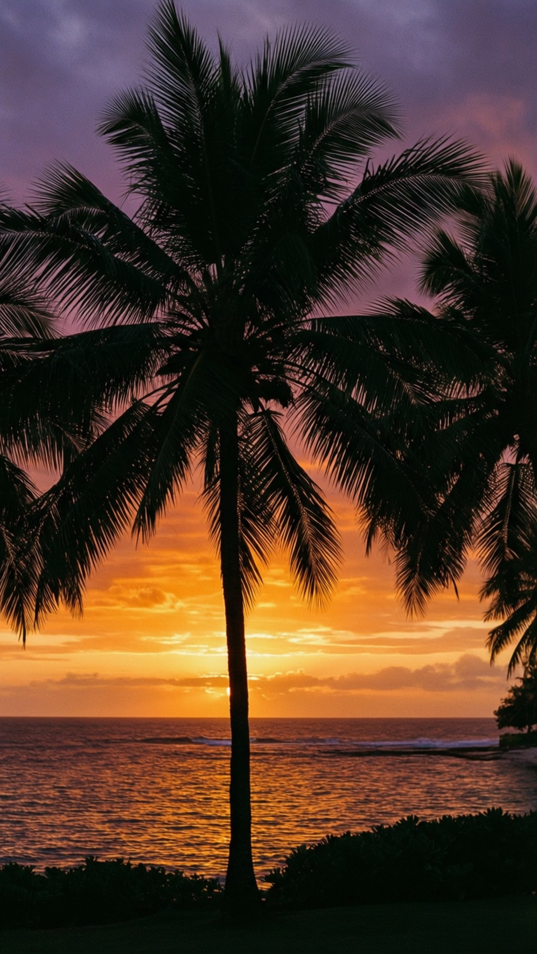 Тропически залез силует Тапет