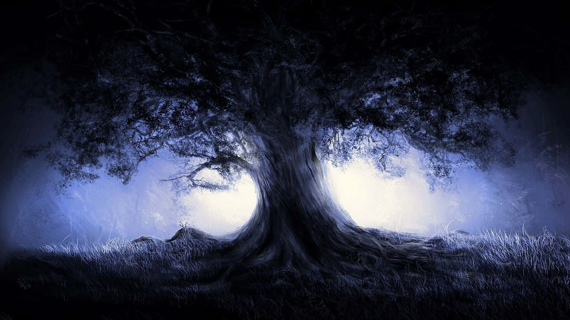 Тъмна гора фон Тапет