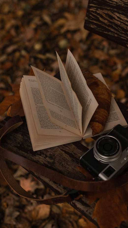 Тъмнокафява естетика с книга и фотоапарат