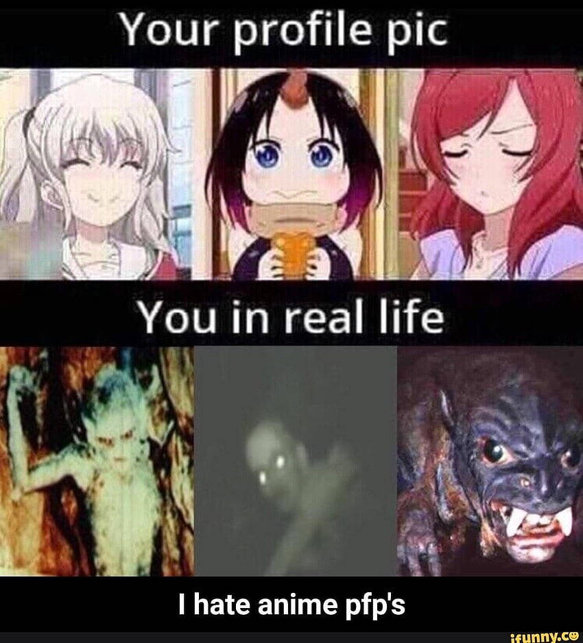 Уморителен мем PFP Тапет