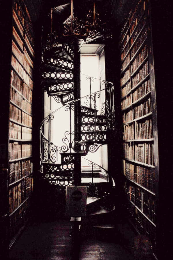 Фон в стил Dark Academia