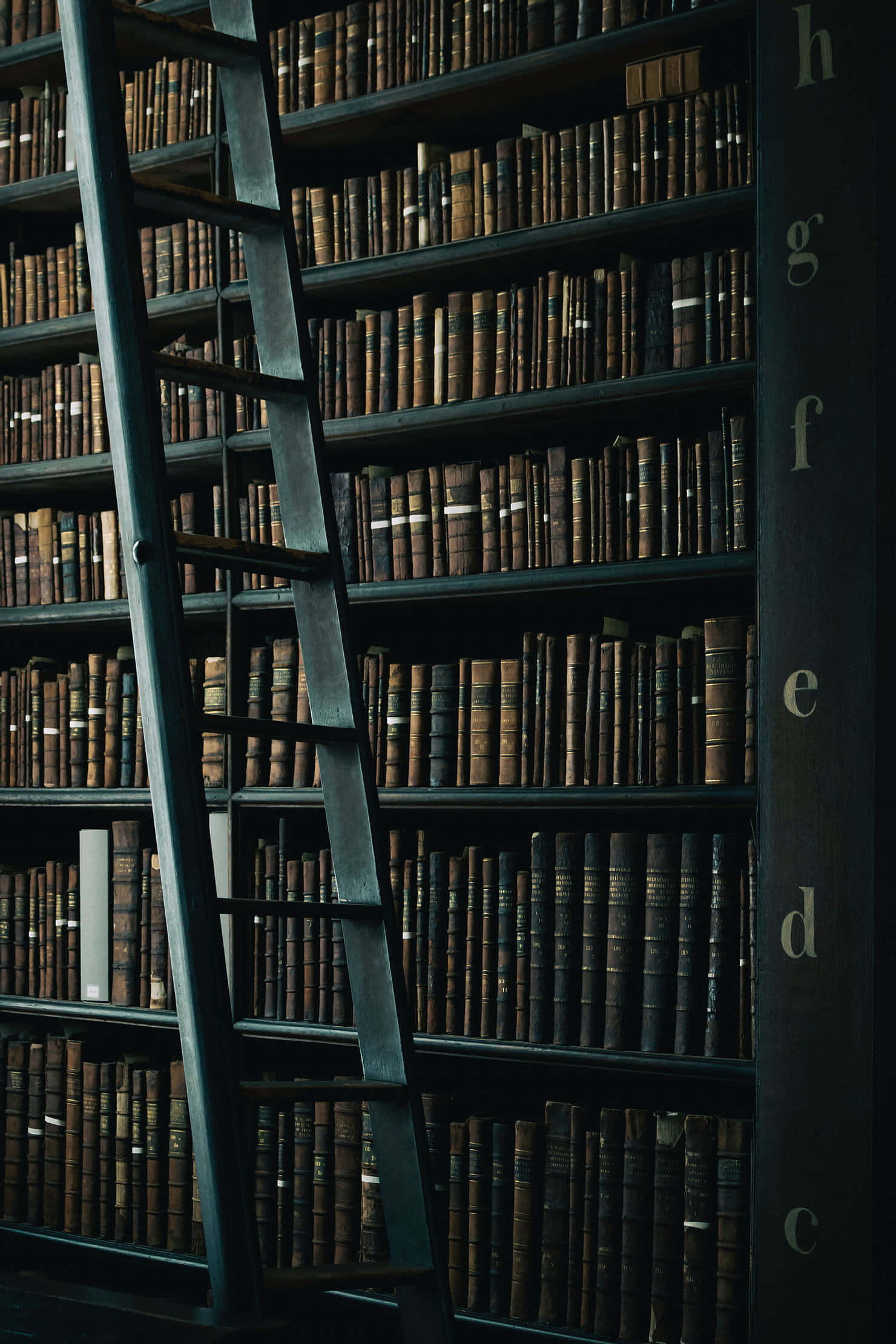 Фон в стил Dark Academia Тапет