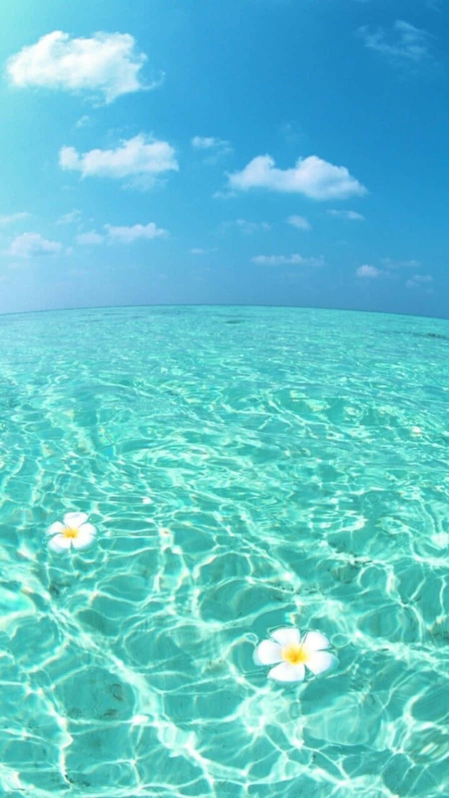 Хладни летни тюркоазени води на морето Тапет
