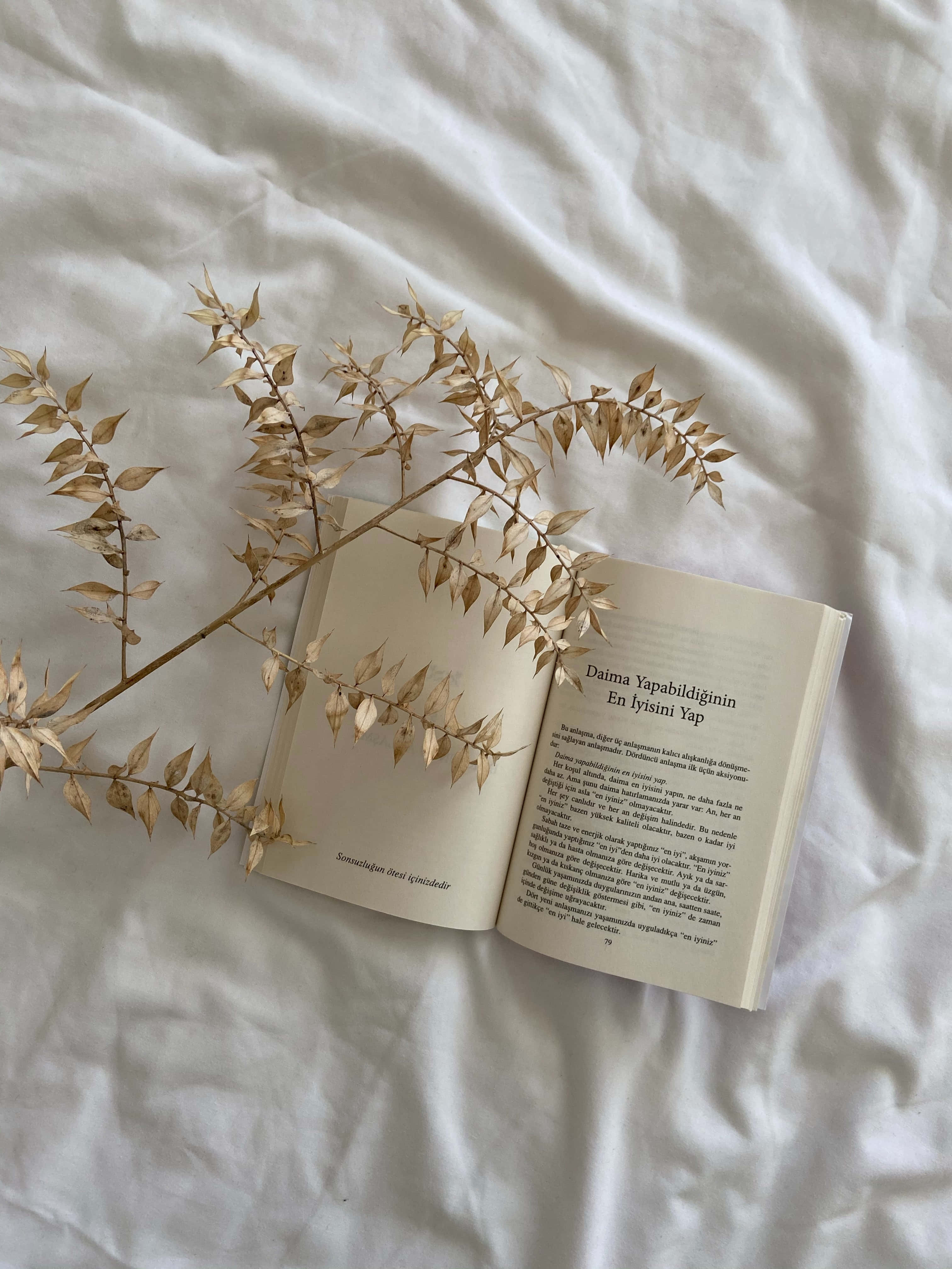 Чаша кафе и отворена книга – идеален ден за попиване на нови знания. Тапет