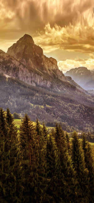 1080x2340 4k — Oppo Find X10 Тапет
