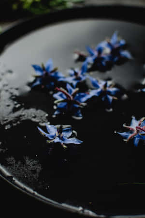 Borage Blue Flowers Phone — Huawei MatePad 11.5 (2026) Тапет