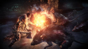 Dark Souls III Гигантски Плъхове — Dark Souls 3 Тапет