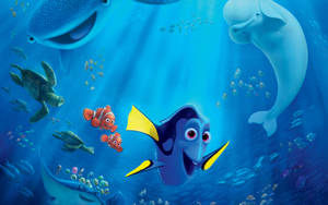 Finding Dory и Nemo Disney 4K Ultra Wide — Естетичен анимационен Тапет
