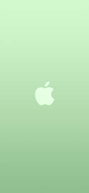 iPhone 11 Green — Pixel 7 Pro Тапет