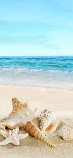 Фон за плаж за iPhone XS — POCO M8 Pro Тапет