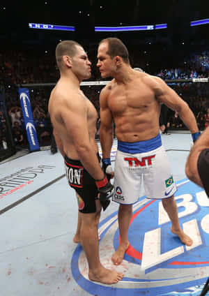 Junior Dos Santos UFC On Fox 1 — Oppo Pad 5 с матов дисплей Тапет