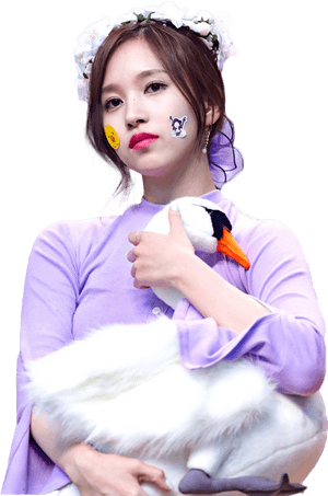 Kpop звезда с плюшен лебед