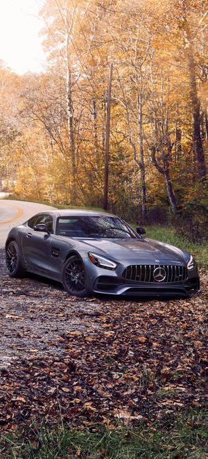 Mercedes AMG iPhone есенни дървета — iPhone 14 Plus Тапет