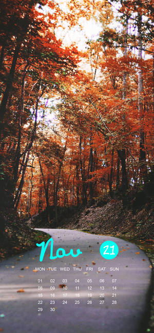 November 2021 Calendar orange road trees тапет