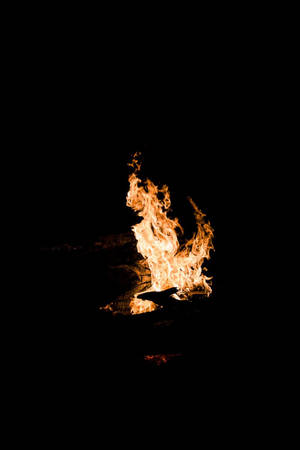 Oled Camp Fire тапет