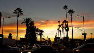 Tapestry Sunset Boulevard Orange Horizon — Лос анджелис залез Тапет
