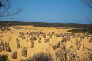Perth Yanchep National Park тапет — Зора Тапет