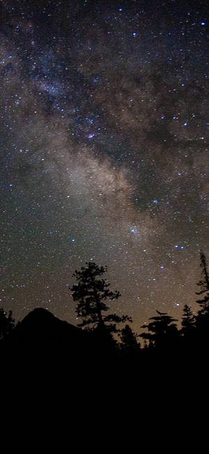 Pretty Galaxy Mountain Forest — iPhone 12 Тапет