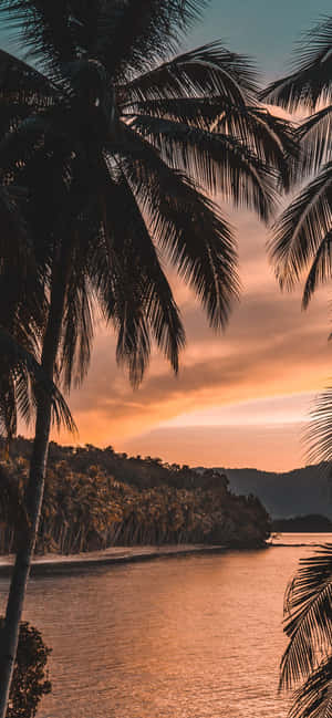 1170x2532 — Huawei nova 16 Тапет