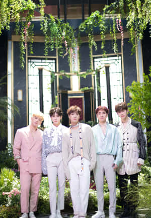 nuest — Kpop GIF Тапет