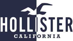 Тапет с двуцветен логотип Hollister — Прост Тапет