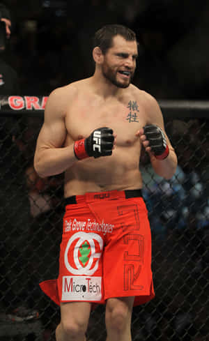 Джон Фич стоящ октагон UFC 141 — Pixel Tablet Тапет