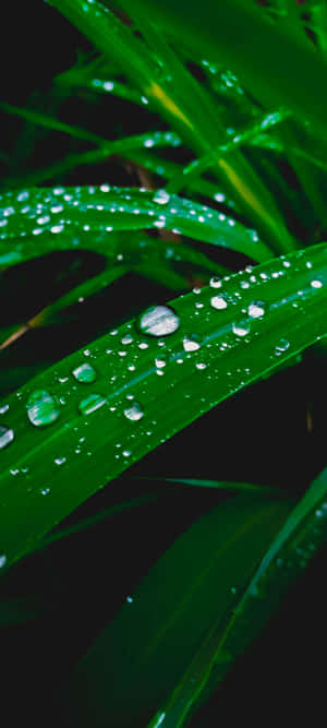 1080x2400 — Samsung galaxy s22 Тапет