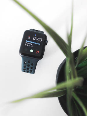 Тапет за естетически приятна снимка на Apple Watch — Apple Watch Тапет