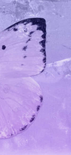 Aesthetic Purple Pictures — Honor Play Тапет