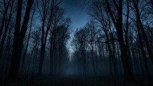 Силно очертание на тъмна гора в здрач с мъгла и звезди. — Черна естетика GIF Тапет