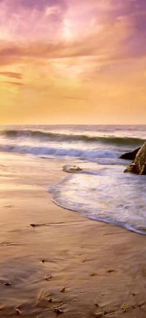 Iphone Xs Malibu Background — Samsung Galaxy S20 Тапет