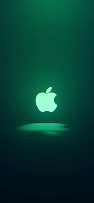 iPhone 11 Зелен — Pixel 8 Тапет