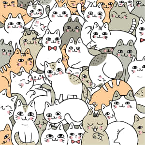 Снимки на сладки котета — Сладка котка Тапет