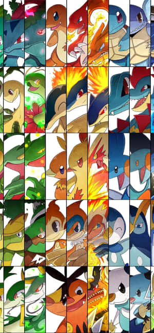 Pokemon Evolution Collage с Meganium — Oppo Reno16 F Тапет