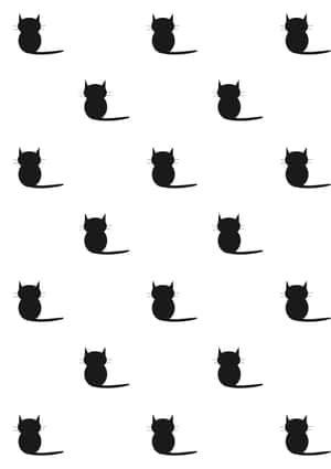 Снимки на черна котка — Черна котка Тапет
