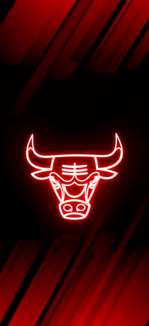 Chicago Bulls Phone — OnePlus 11 Тапет