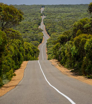 Highway 1 Of Australia wallpaper — Vivo X Fold3 Pro Тапет