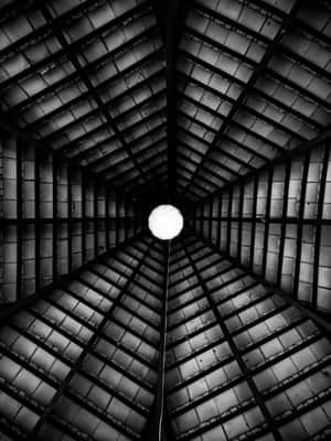 2048x2732