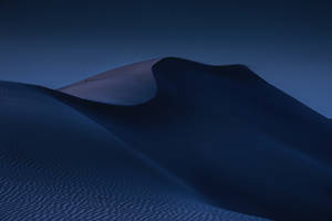 Мрачна пустинна гора 4k