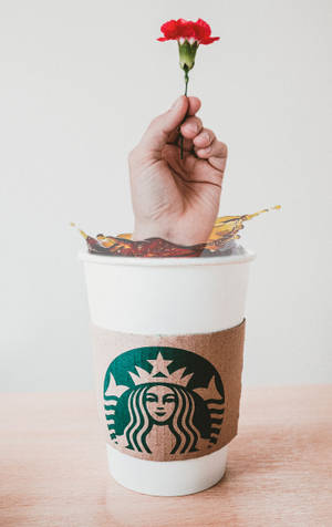 Ръка Starbucks iPhone — Huawei MatePad Pro 12 (2026) Тапет
