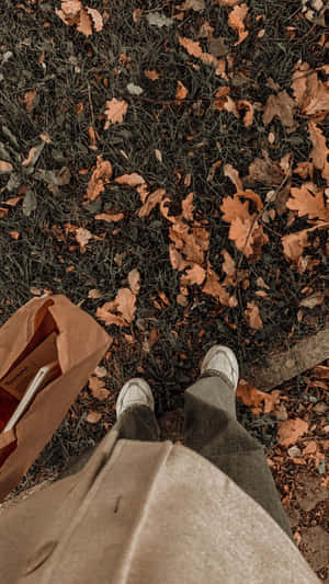 Снимки Aesthetic Brown — Естетично кафяво Тапет