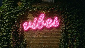 Неонова табела с надпис 'vibes' върху тухлена стена, покрита с бръшлян, през нощта. — Инди естетика GIF Тапет