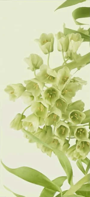 Новият Google Pixel 6 Pro, по-бърз и по-умен