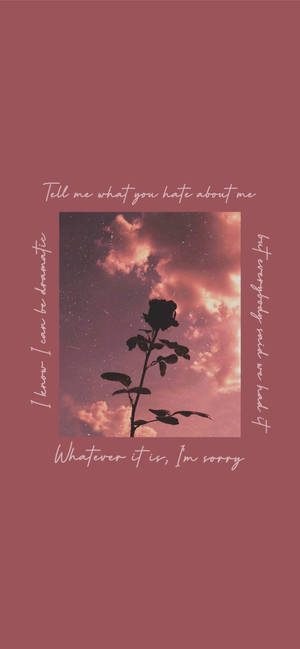 Тапет Iphone aesthetic flower silhouette — iPhone 17 Pro Max Тапет