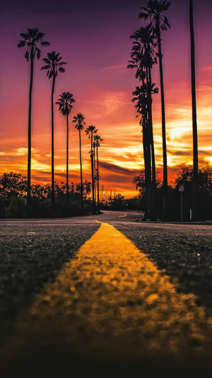 Тапет с пътен портрет на Sunset Boulevard — Булевард на залеза Тапет
